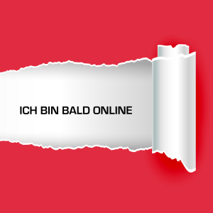 Bandbremse für AS-50C / AS50F